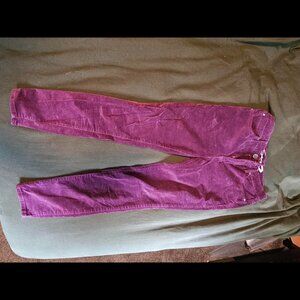 Super Comfy Purple Corduroy Skinny